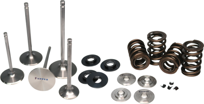 Ferrea Subaru WRX STI Endurance Dual Spring Kit