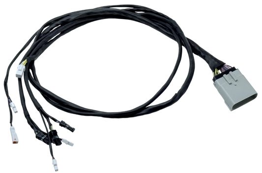 User 1