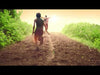 Video File