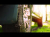 Video File